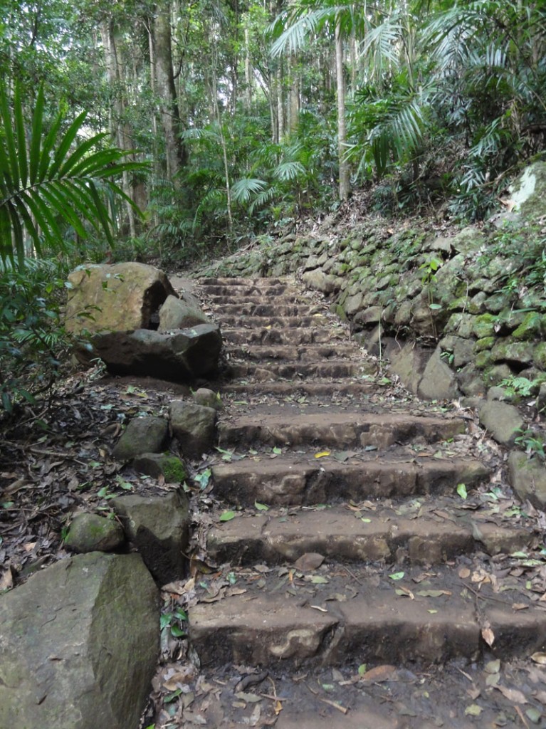 Steps to Curtis Falls