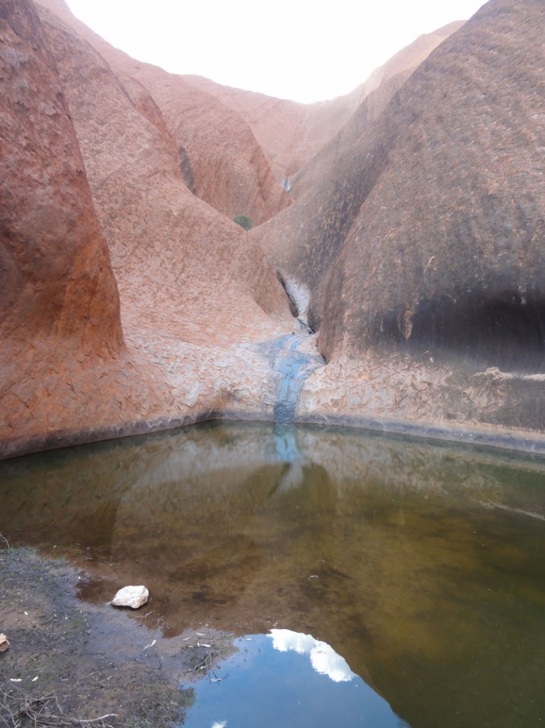 Waterhole at the base of Uluru