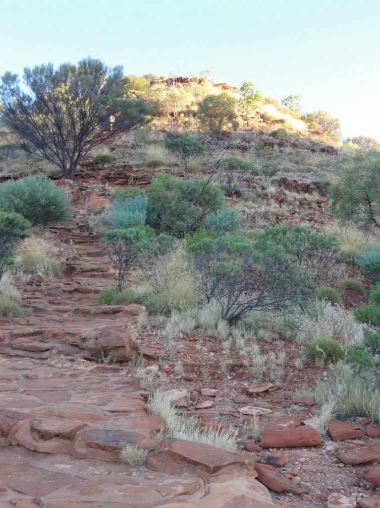 Footpath up to the canyon