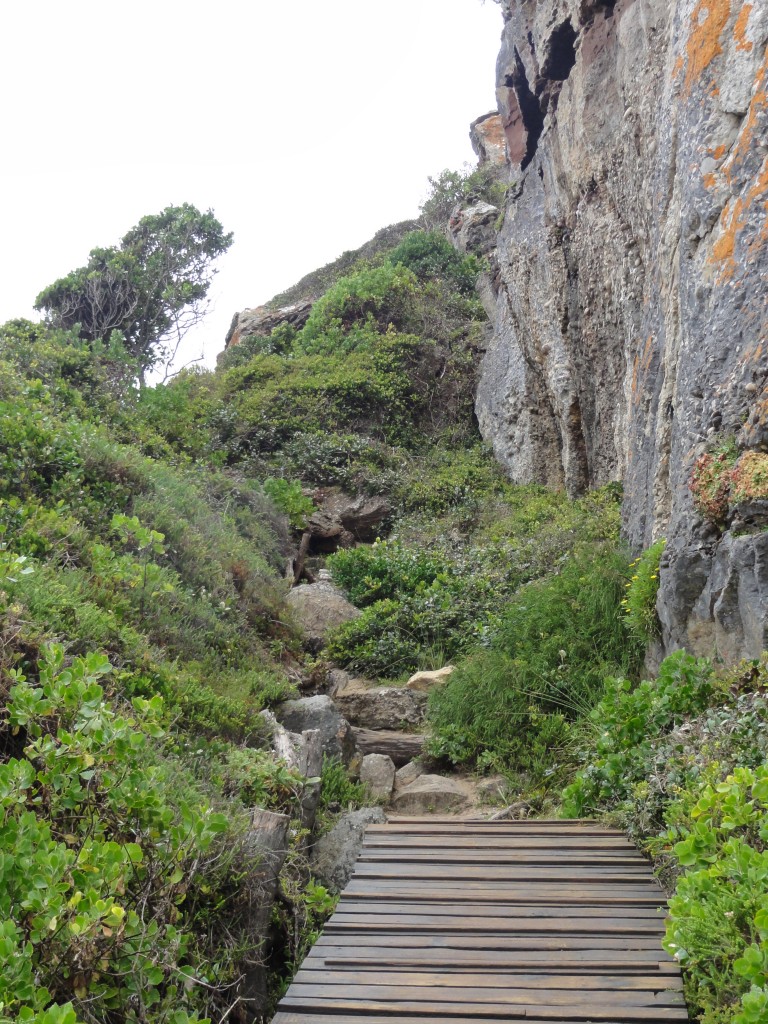 Walking trail at the Robberg Nature Reserve