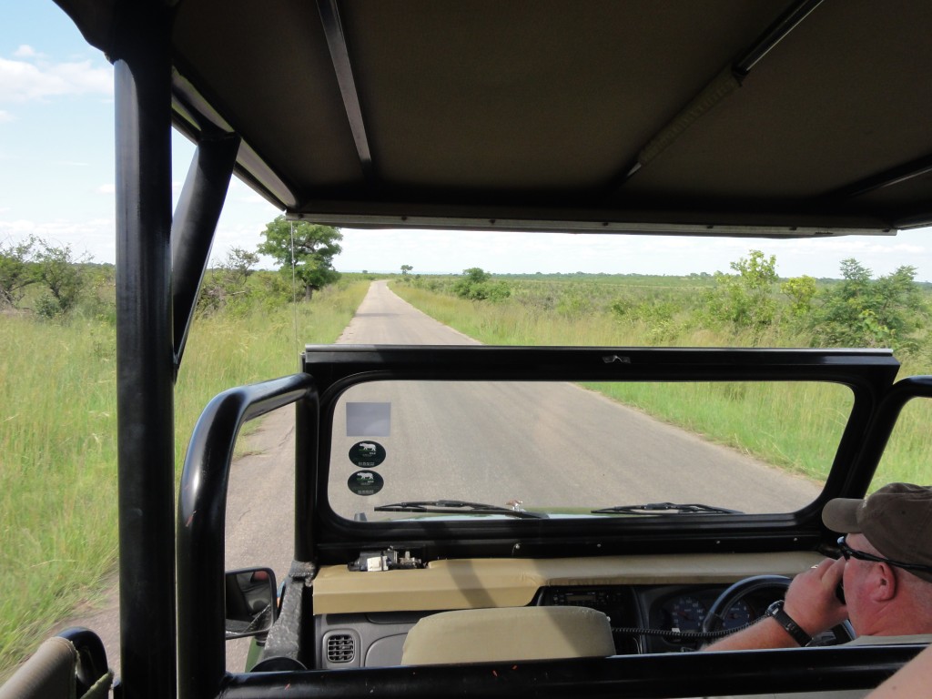 Dean driving us through Kruger