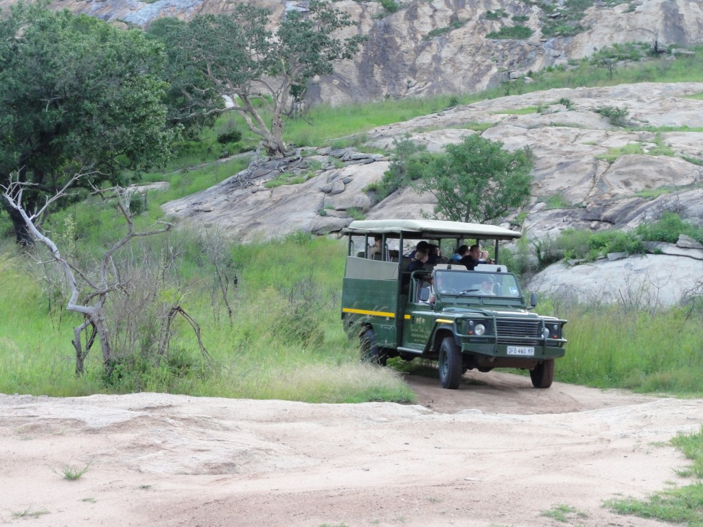 One of the nighttime game drive vehicles