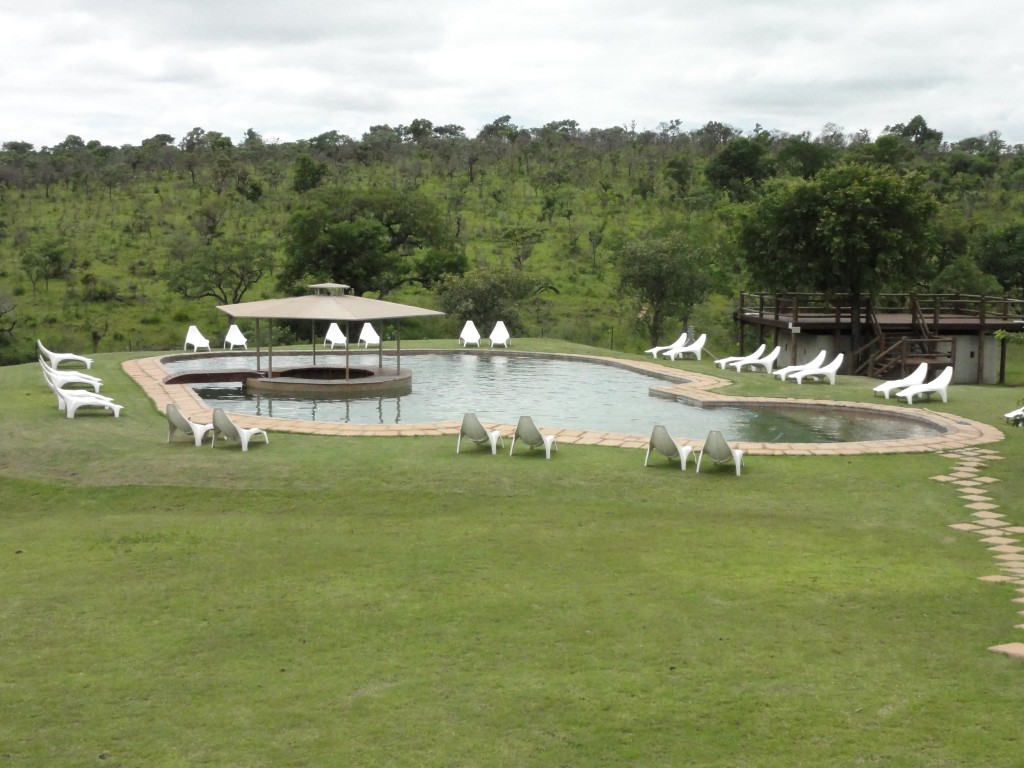 Swimming pool at Nkambeni camp