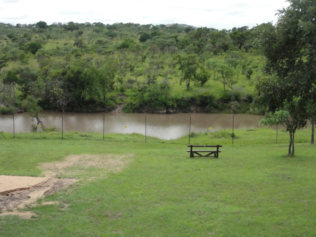Hippo pool just outside Nkambeni camp