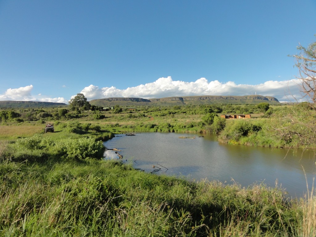 Watering hole in the Askari game reserve