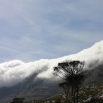 Cloud rolling off the mountain