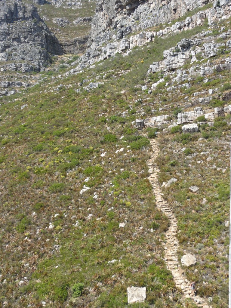 Pathway up the mountain