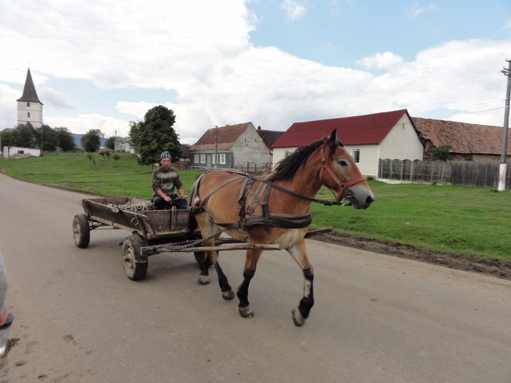 Horse and cart passing through the village