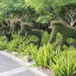 Royal Botanical Gardens