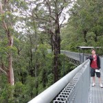 Me on the tree top walk