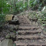 Steps to Curtis Falls