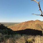 View from the canyon