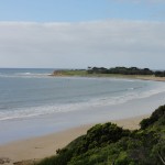 Torquay coastline