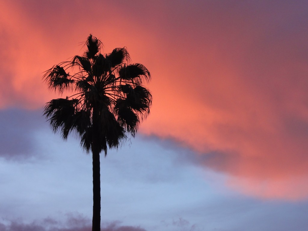 Sunset at the Gumtree guest house