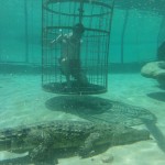 Me and a crocodile!