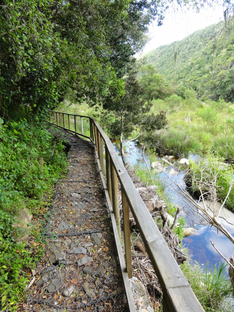Walking along the river