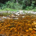 Stepping stones