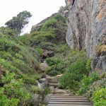 Walking trail at the Robberg Nature Reserve