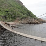 Hannah and Shammy on the suspension bridge