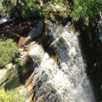 A waterfall near The Fernery