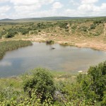 A watering hole in Addo