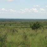 Kruger National Park