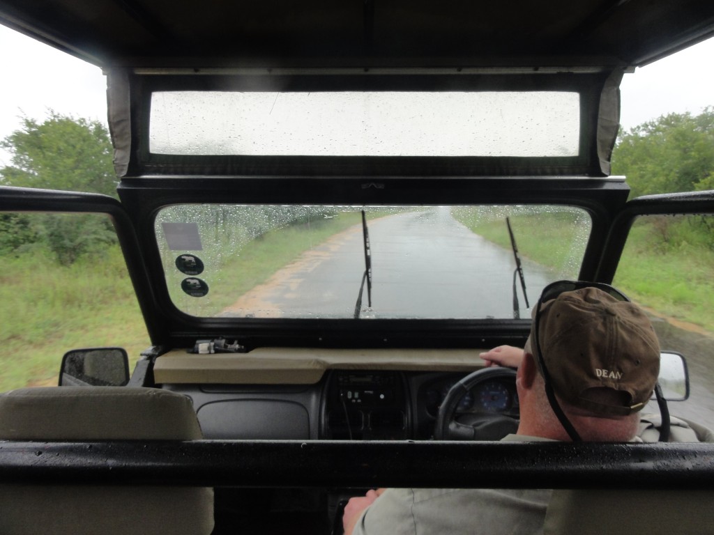 Dean driving towards the lion sighting