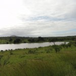 Watering hole in Kruger