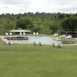 Swimming pool at Nkambeni camp
