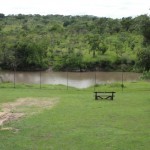 Hippo pool just outside Nkambeni camp