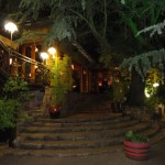 Moyo restaurant