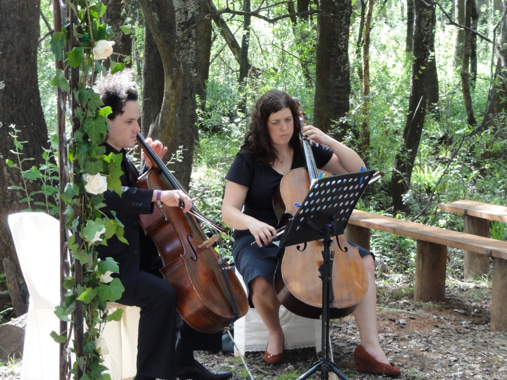 String duo