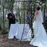 Marriage officer introducing the ceremony