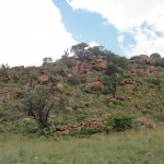 Near the top of the mountain hike