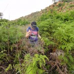 Noz trying to find the pathway
