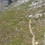 Pathway up the mountain