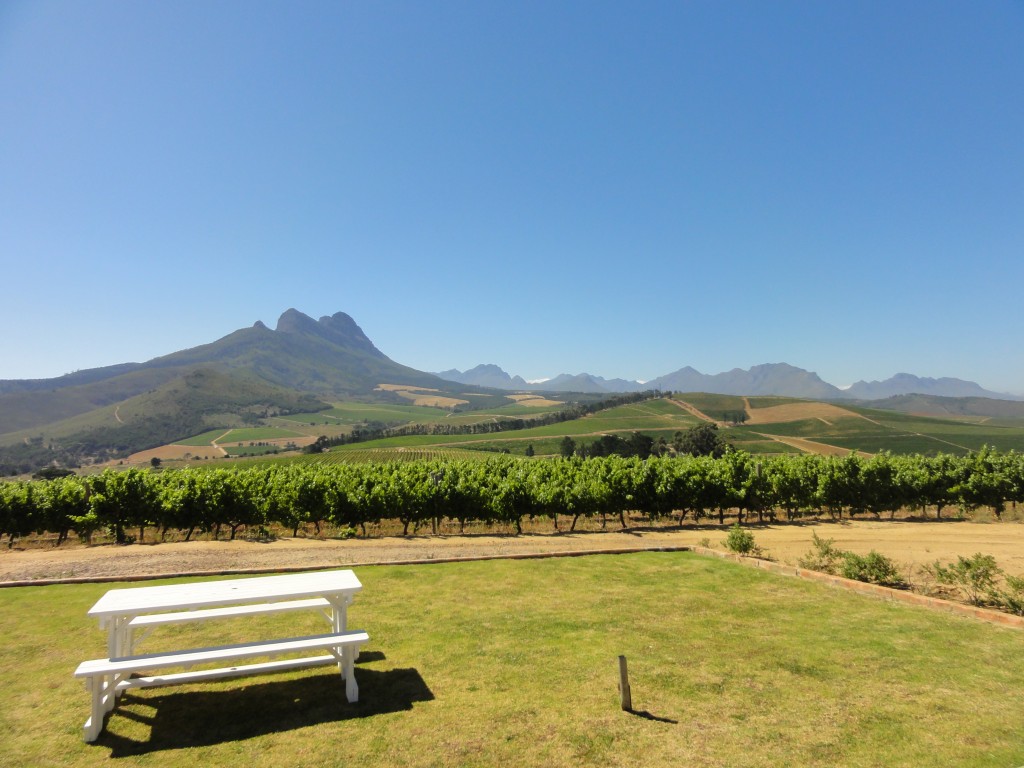 View from the Warwick estate tasting