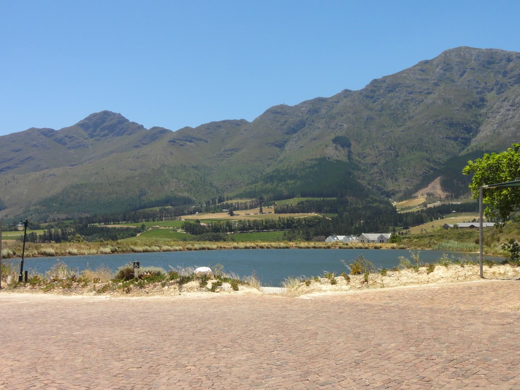 View on our winery tour