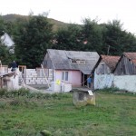 Second house at the end of day 2