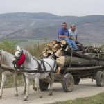 Horse and carriage passing through the village