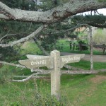Signpost inside Hobbiton