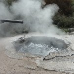 DSC05444