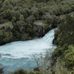 DSC05555