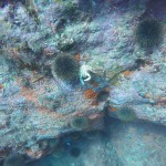 GOPR0118.JPG