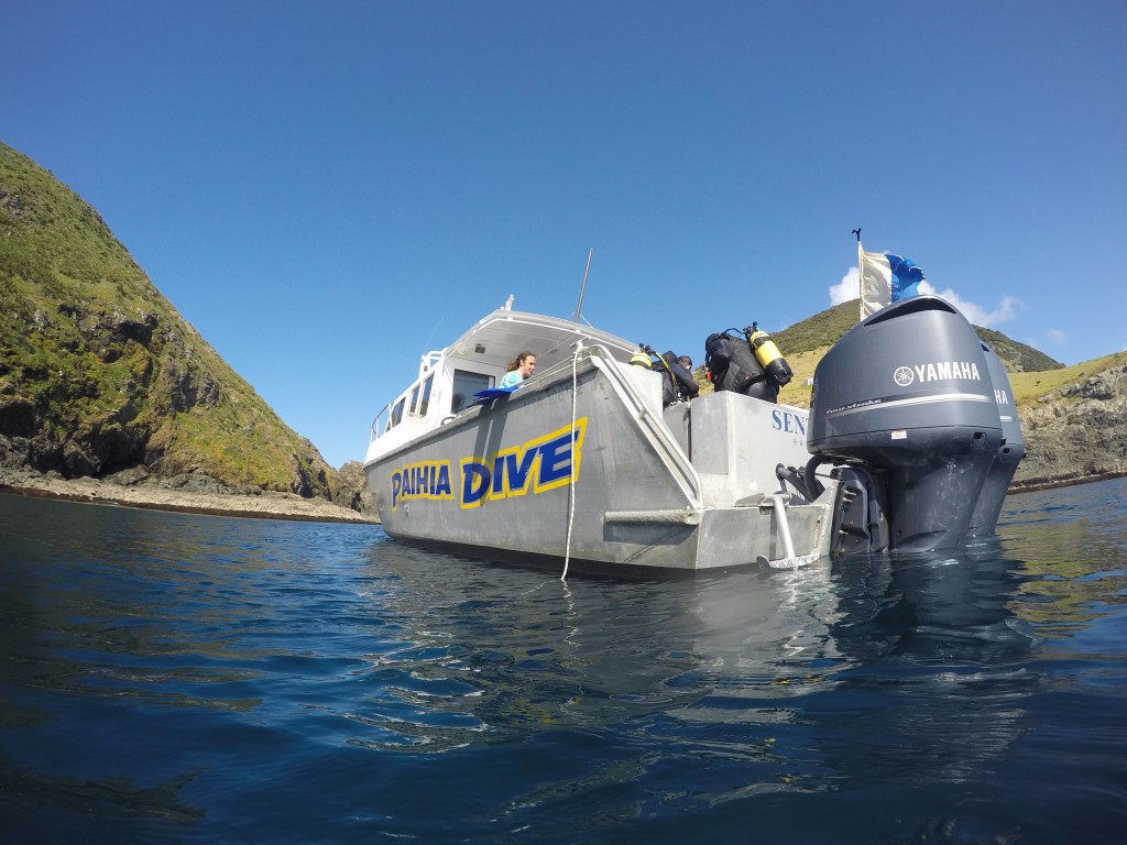 GOPR0137.JPG