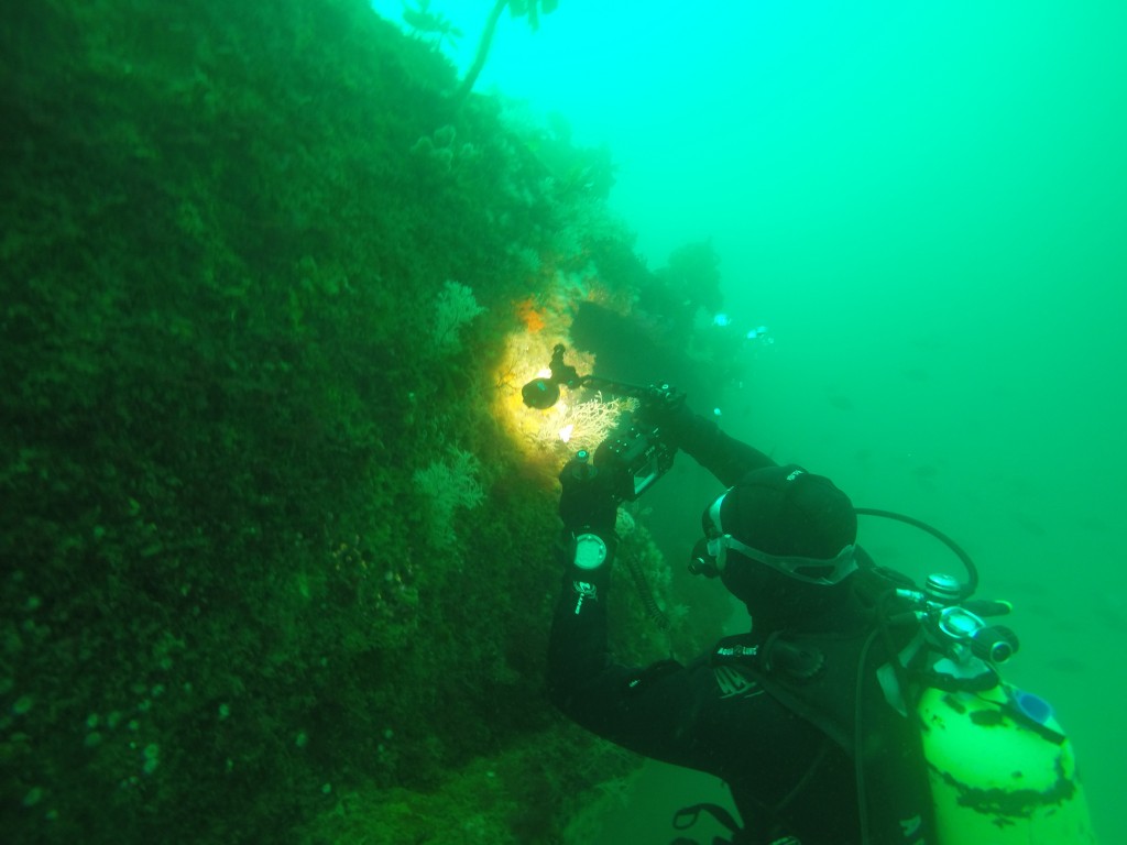 GOPR0139.JPG
