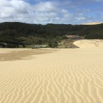 IMG_0473