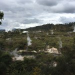IMG_0652