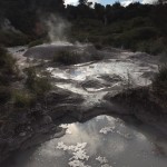 IMG_0660