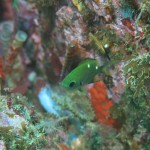 IMG_0740.JPG